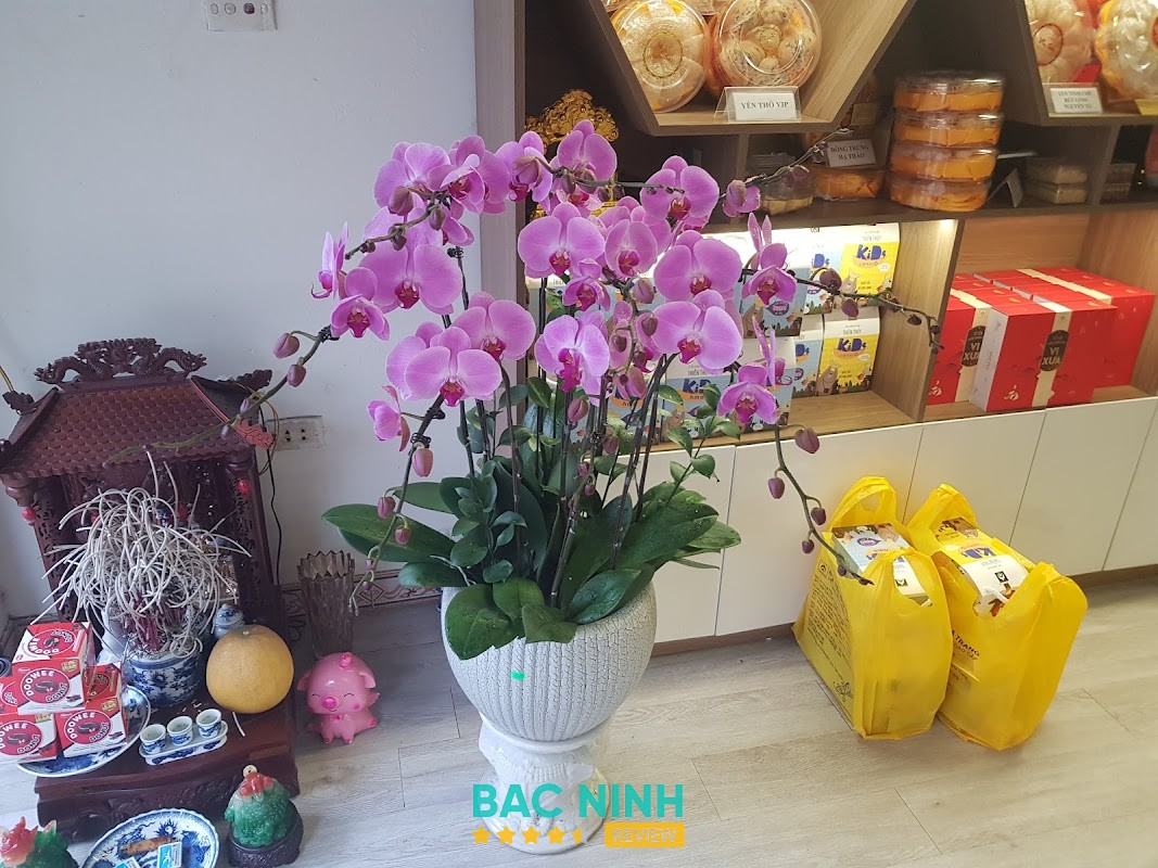 Yến sào Việt Trang – hình ảnh 3
