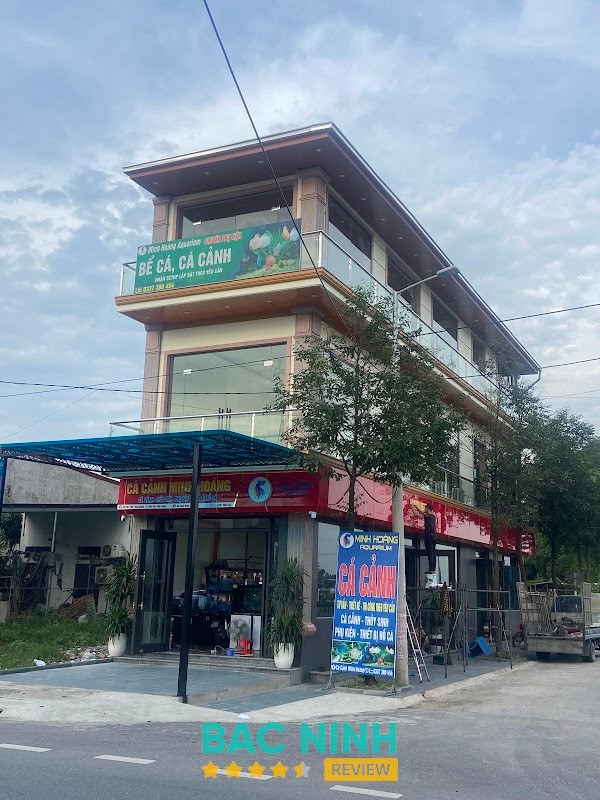 Cá Cảnh Minh Hoàng Việt Yên