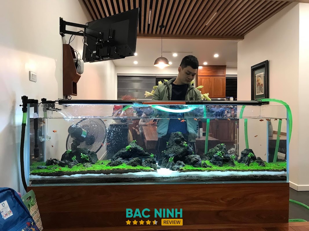 Nguyễn Du Aquarium Bắc Giang