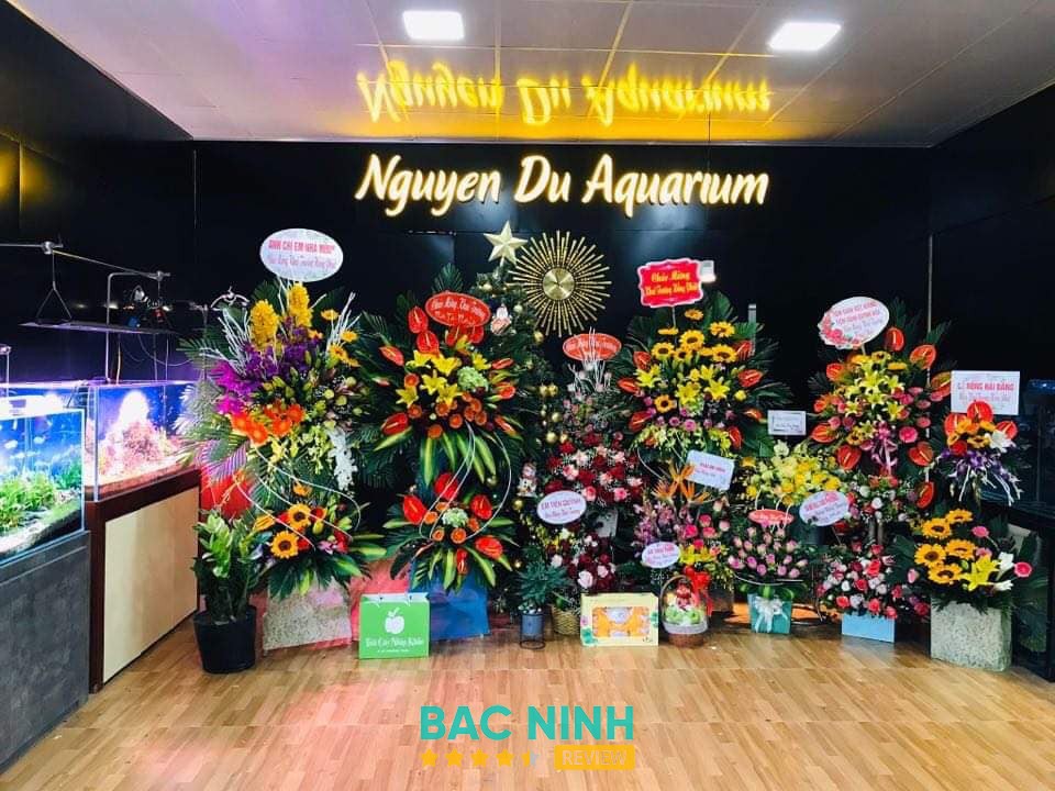 Nguyễn Du Aquarium hình ảnh 3