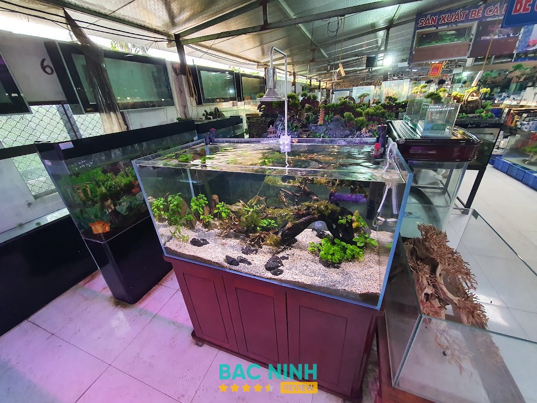 Thế Giới Thuỷ Sinh Bắc Ninh Nam Sơn