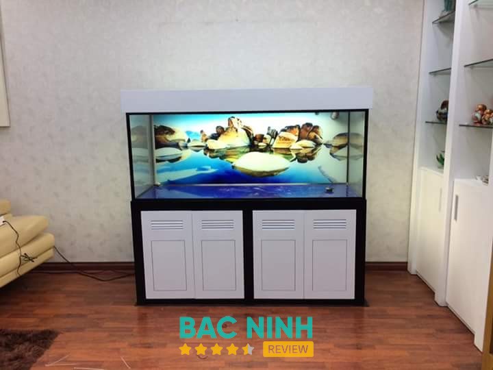 Shop Cá Cảnh DuyAnh Từ Sơn Bắc Ninh