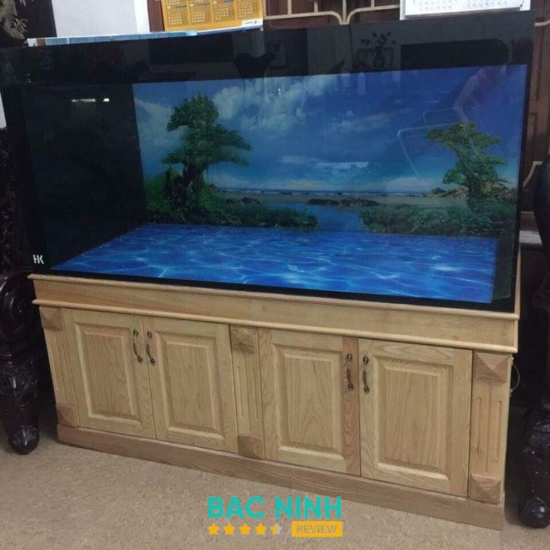 Shop Cá Cảnh DuyAnh – hình ảnh 2