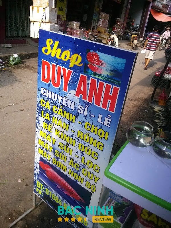 Shop Cá Cảnh DuyAnh – hình ảnh 3