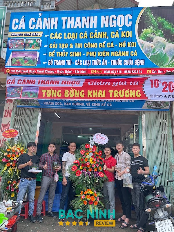 Cá Cảnh Thanh Ngọc Song Liễu Bắc Ninh