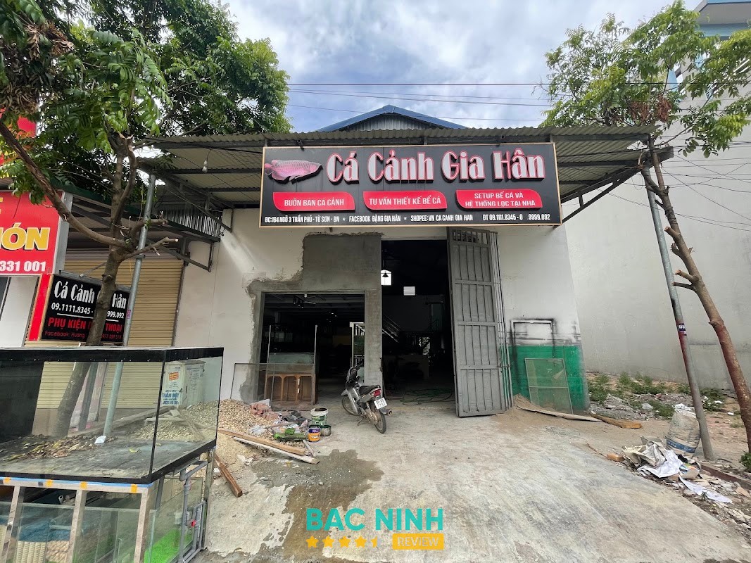 Cá Cảnh Gia Hân Bắc Ninh