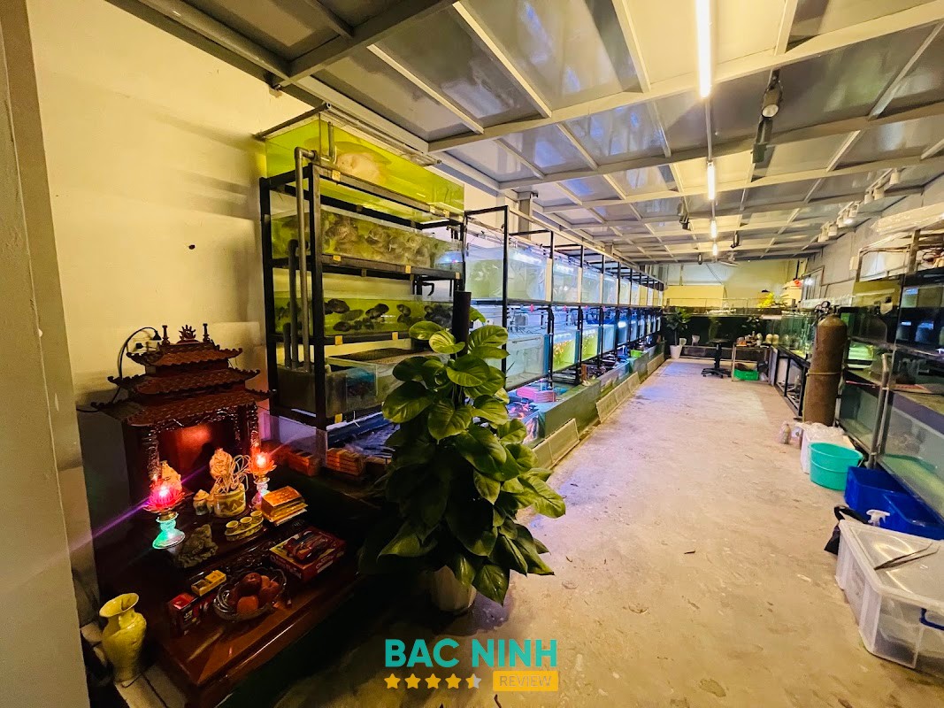 Cá Cảnh Gia Hân – hình ảnh 3