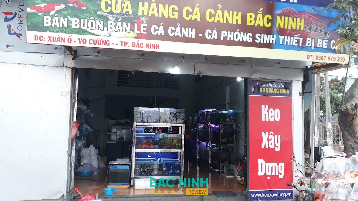 Cửa Hàng Cá Cảnh TP Bắc Ninh - A Bích