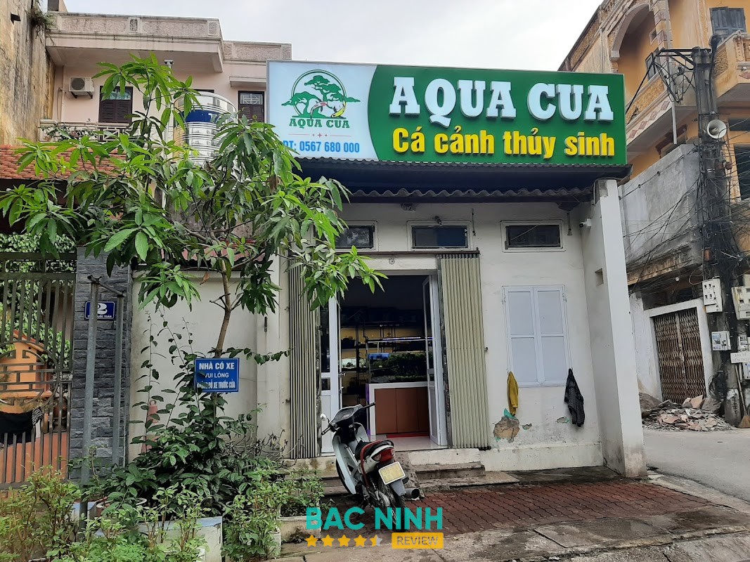 Aqua Cua - Thủy Sinh Cá Cảnh Bắc Ninh tại Kinh Bắc