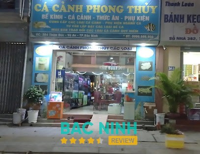 Cửa Hàng Cá Cảnh Phong Thủy Quang Thắng Kinh Bắc