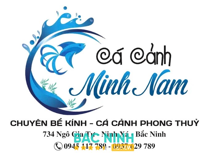 Cá Cảnh Minh Nam hình ảnh 2