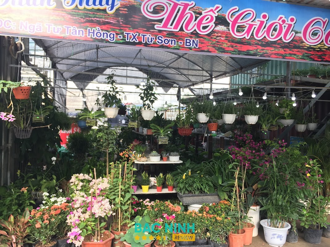Thế giới cây và hoa Từ Sơn Bắc Ninh