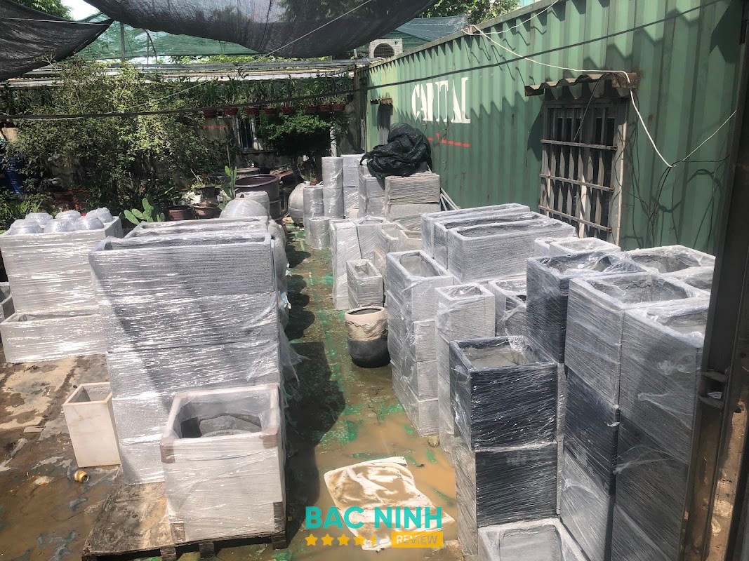 Cây tại Thế giới cây và hoa