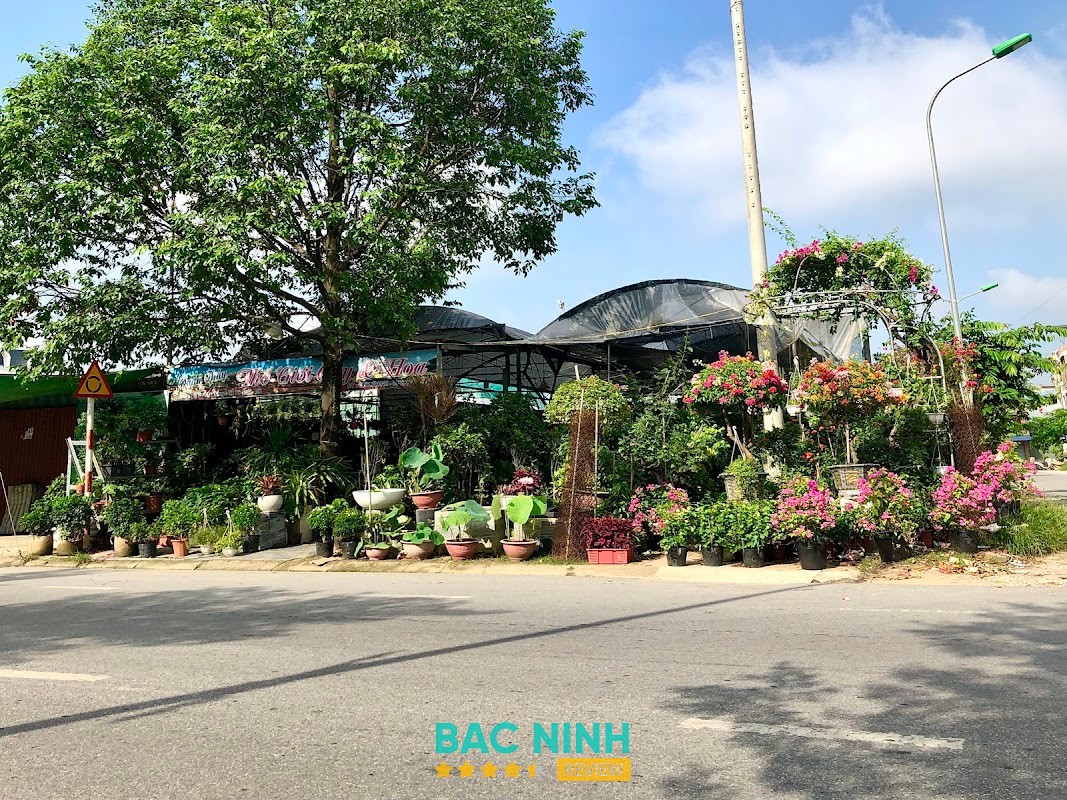 Không gian Thế giới cây và hoa