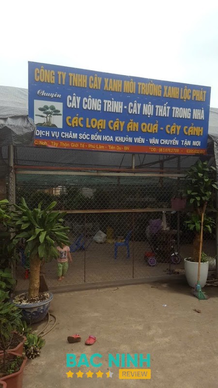 Cây Xanh Môi Trường Xanh Lộc Phát Loan Lĩnh Bắc Ninh