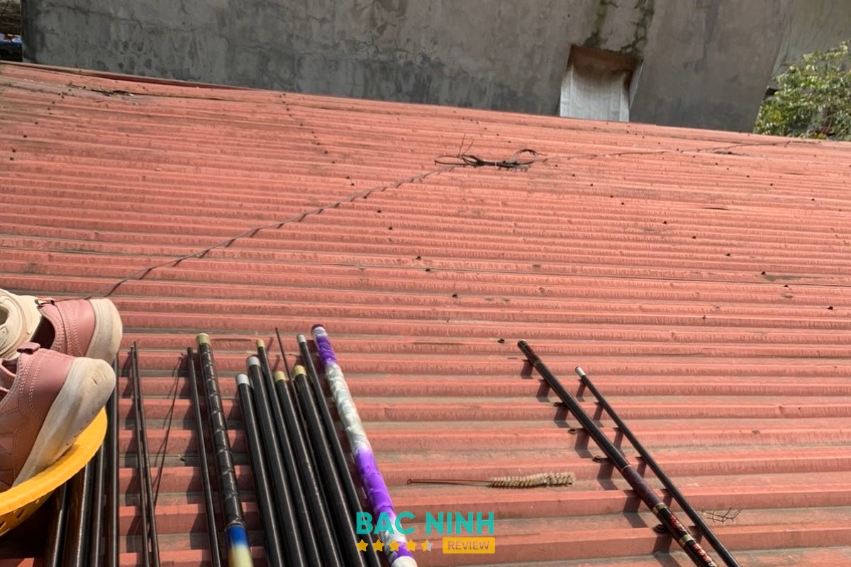 Cửa hàng đồ câu piking – hình ảnh 3