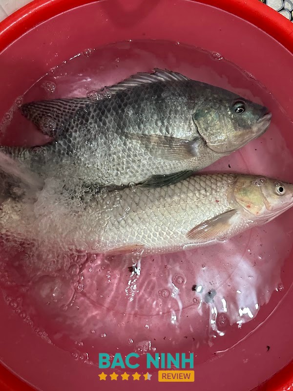 Shop Đồ câu NamĐinh Fishing – hình ảnh 3