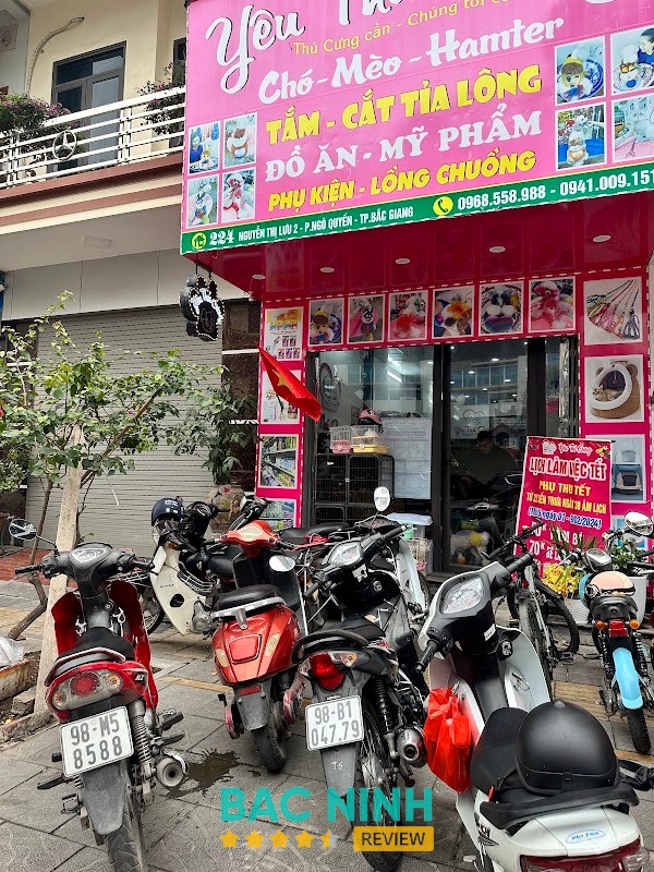 Yêu Thú Cưng Bắc Ninh