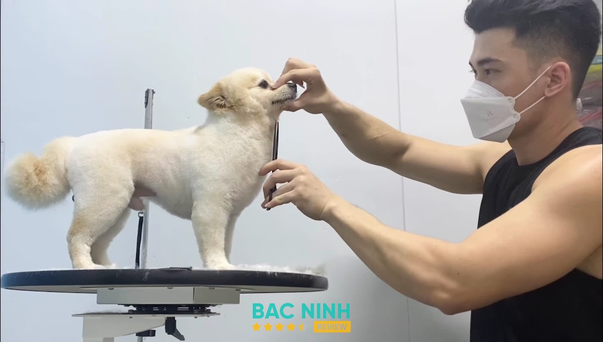 T-M PET SHOP QUẾ VÕ - hình ảnh 2