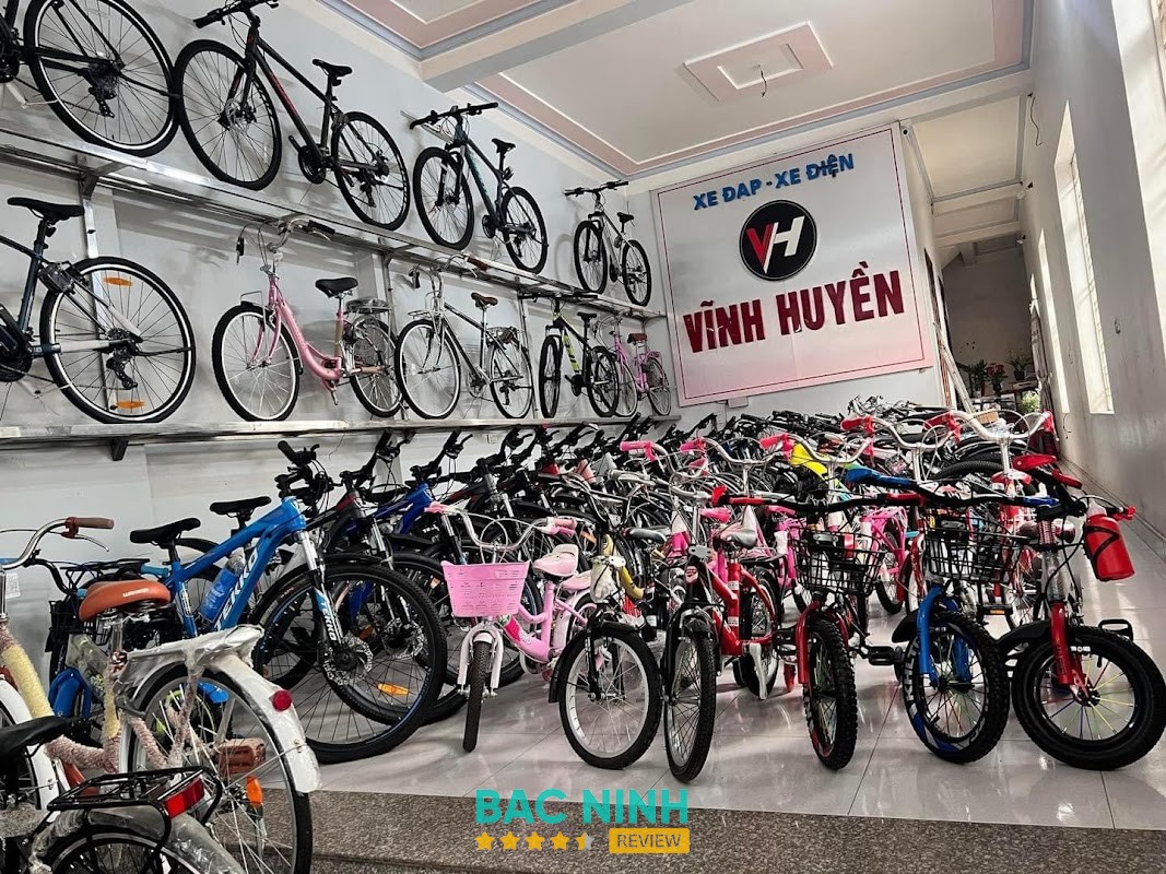 Cửa Hàng Xe Điện Vĩnh Huyền – hình ảnh 3