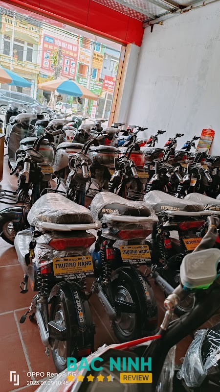 Xe Điện Trưởng Hằng Quế Võ