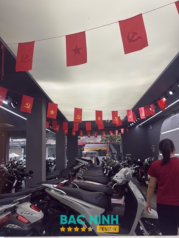 VinFast Huy Hiệu Yên Phong – hình ảnh 3
