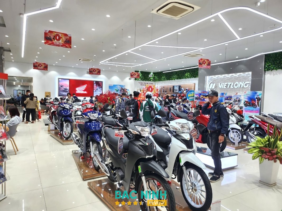 HEAD Việt Long #2 – hình ảnh 2