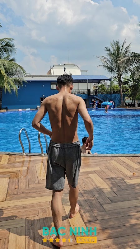 Bể bơi Dolphin – hình ảnh 2