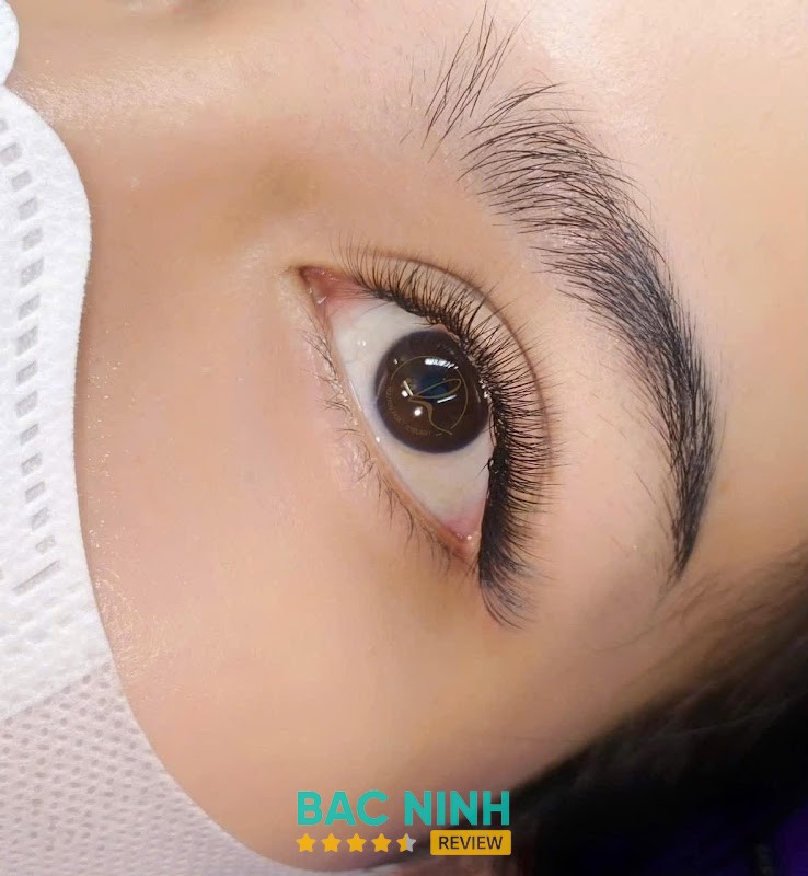 Nguyễn Hoa Eyelash – hình ảnh 2