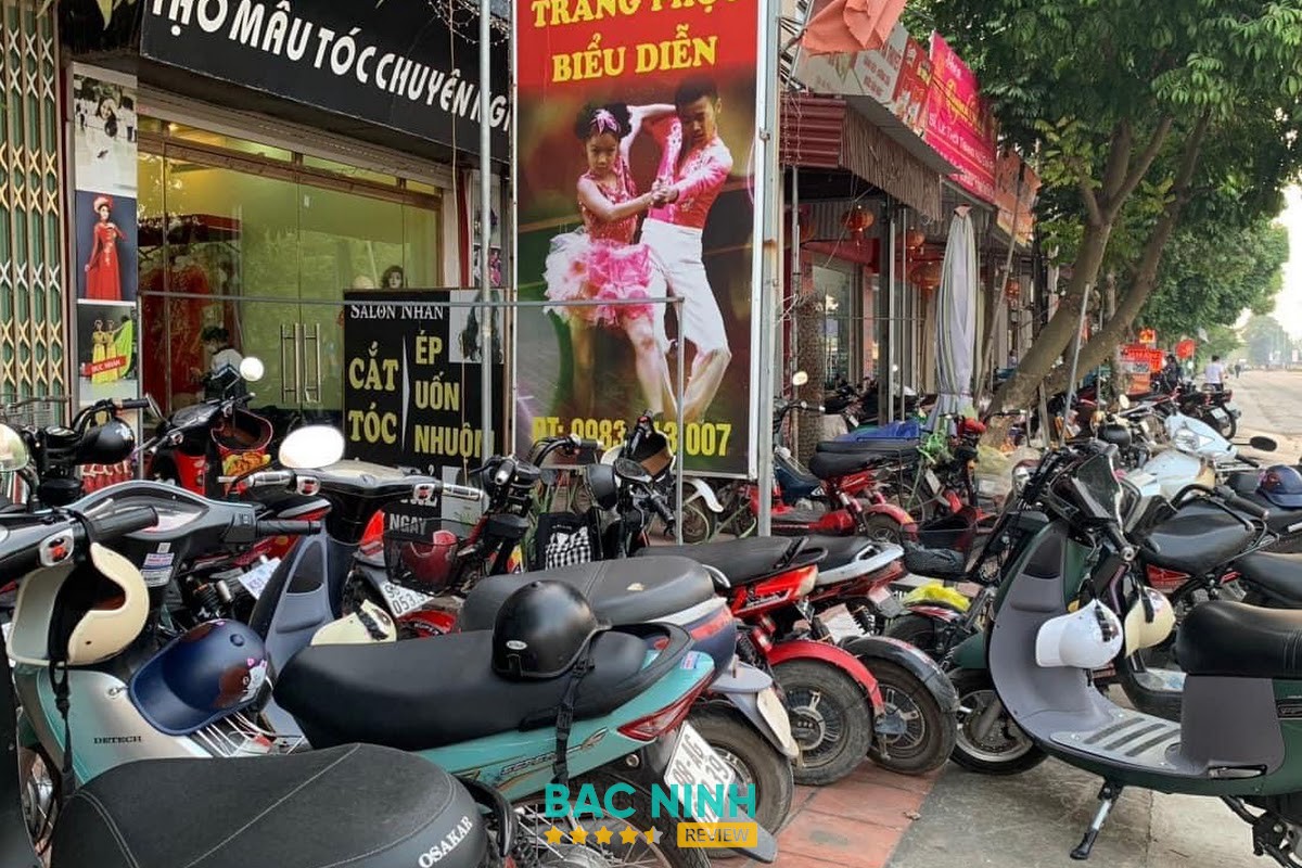 Áo Dài Trang phục biểu diễn Thanh Thuý – hình ảnh 2