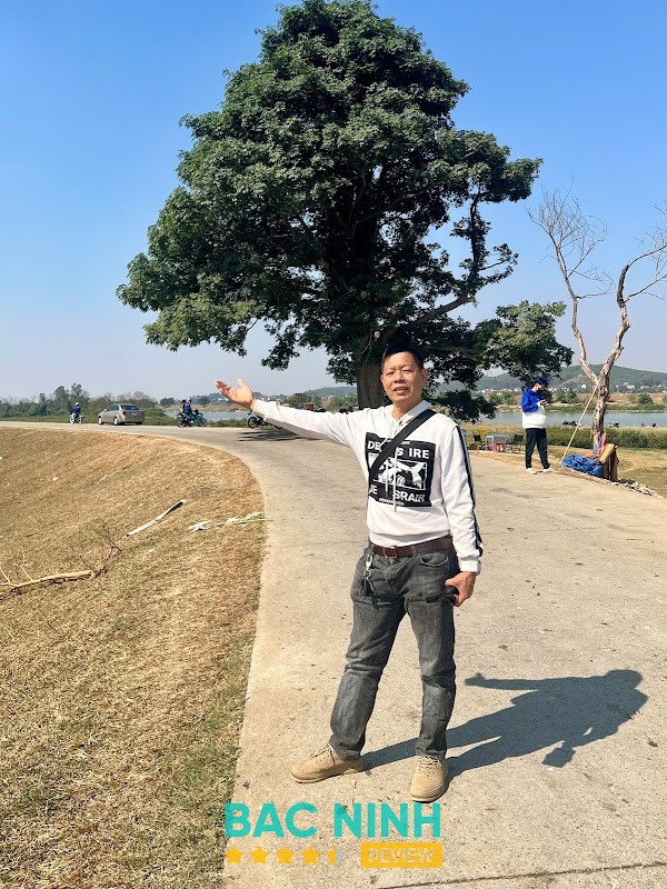 Cây Cô Đơn Bắc Ninh – hình ảnh 2