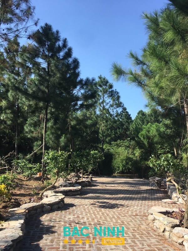 Từ Sơn Eco Garden – hình ảnh 3