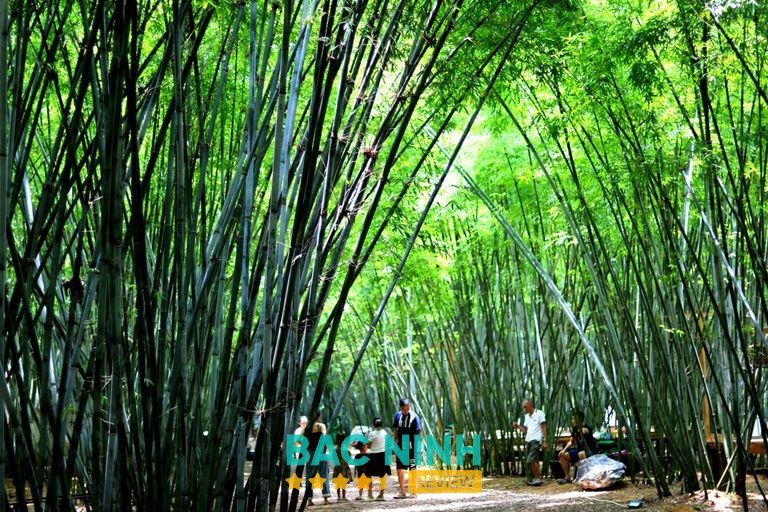 Khu Du Lịch Sinh Thái Cộng Đồng Bản Ven Xanh
