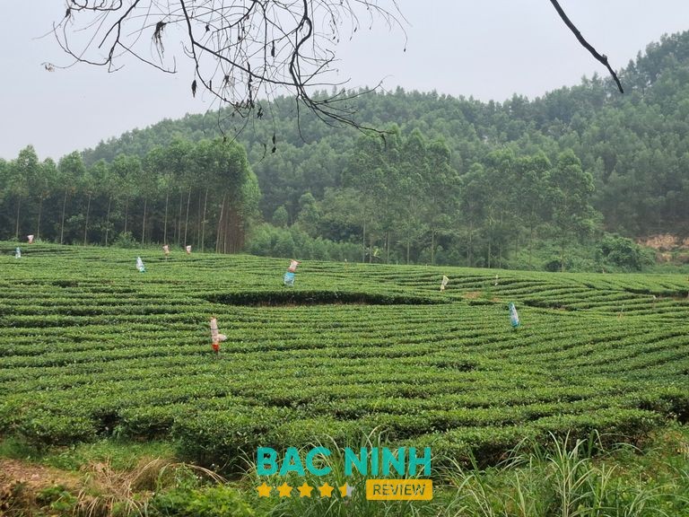 Bản Ven Xanh – hình 3