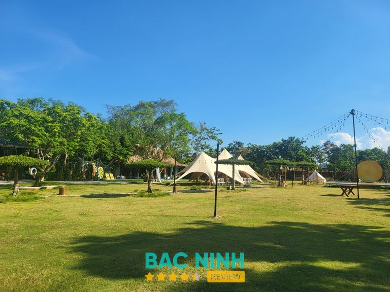 Tróp Local Bắc Giang – hình 2