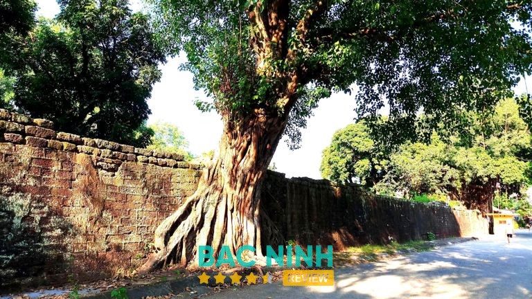 Thành Cổ Bắc Ninh