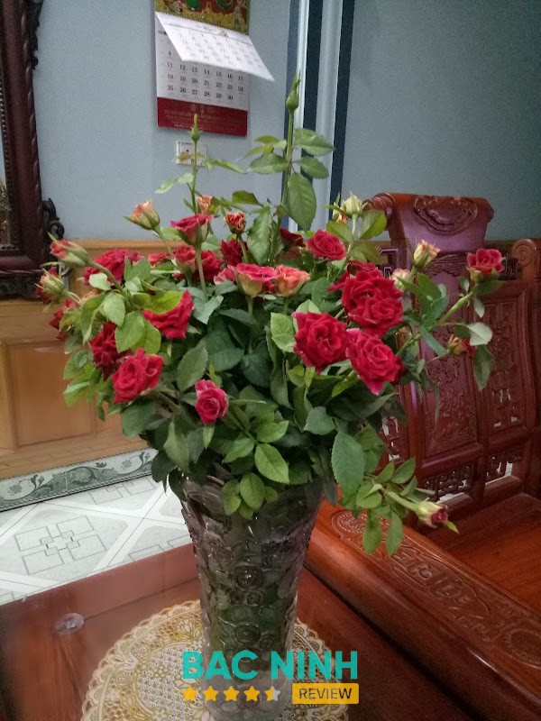 Xuân Ổ A – hình ảnh 3