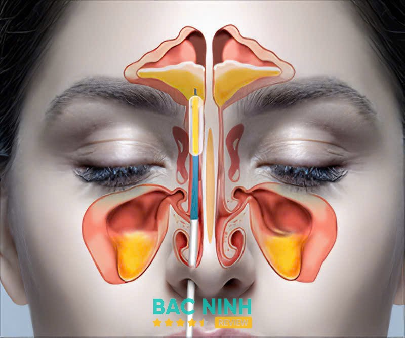 Viện Trị Liệu Đông Á – hình ảnh 2
