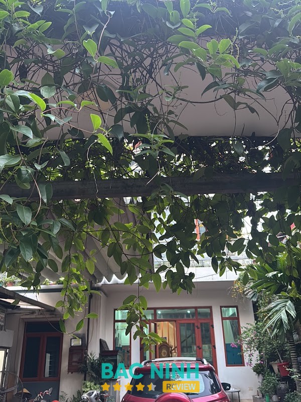 Phòng khám mắt Phương Thảo – hình ảnh 2