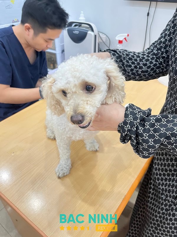 Bệnh Viện Thú Y Win Pet – hình ảnh 2
