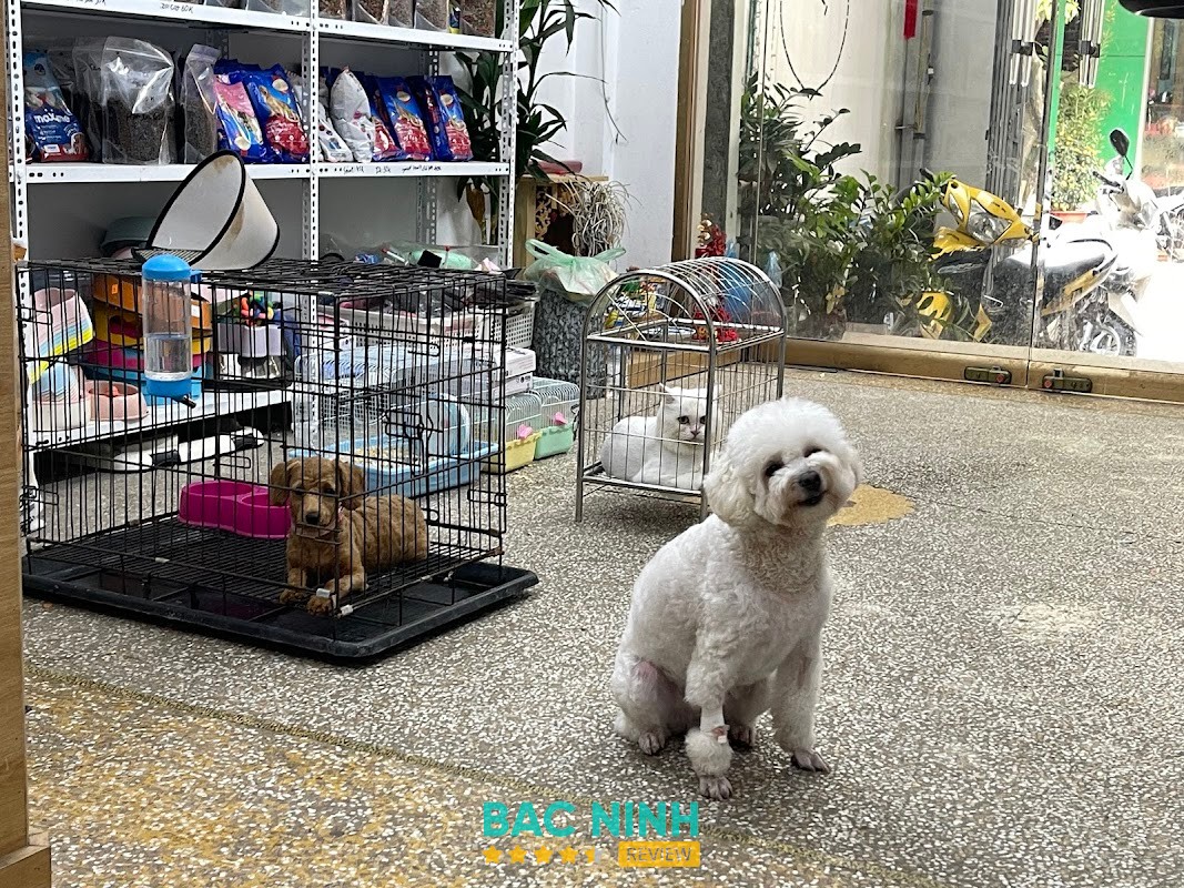 Phòng khám thú y PROVET Bắc Giang Bắc Giang
