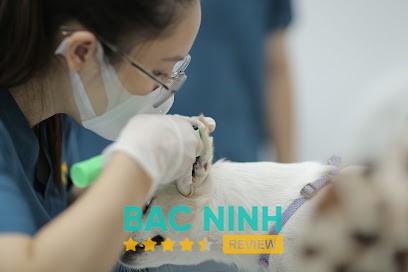 Bệnh Viện Thú Y Bắc Ninh Helios – 81 Đỗ Trọng Vỹ, Kinh Bắc, Bắc Ninh, Việt Nam