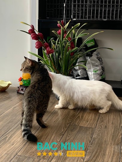 Phòng Khám Thú Y T - Pet Từ Sơn – 4 Lý Tự Trọng, Từ Sơn, Bắc Ninh, Việt Nam