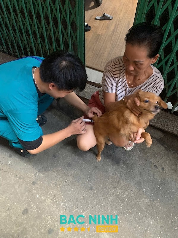 Phòng khám Thú y Bắc Ninh tại Võ Cường