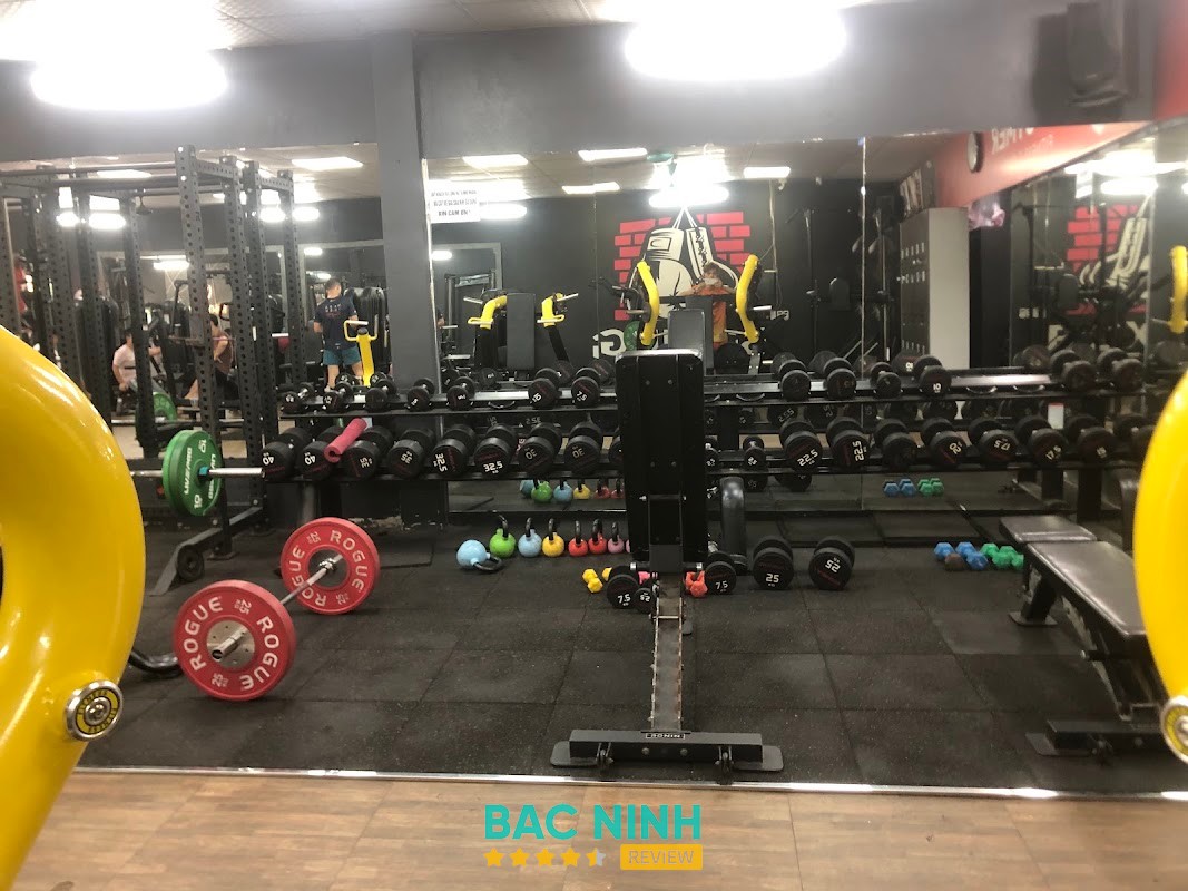 The Gymer Fitness & Gym – hình ảnh 3