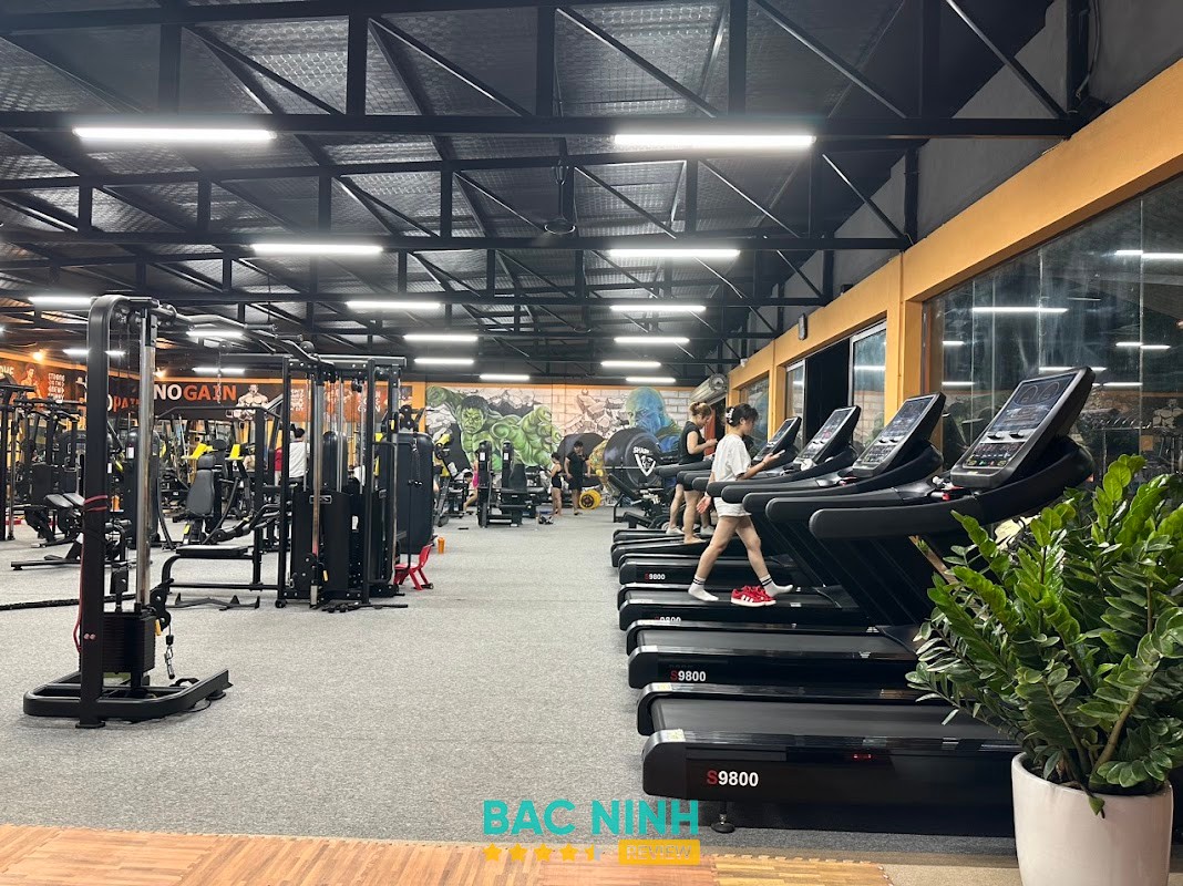 Shark Gym Yên Phong