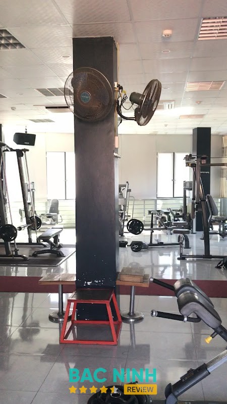 Gym Golden – hình ảnh 2