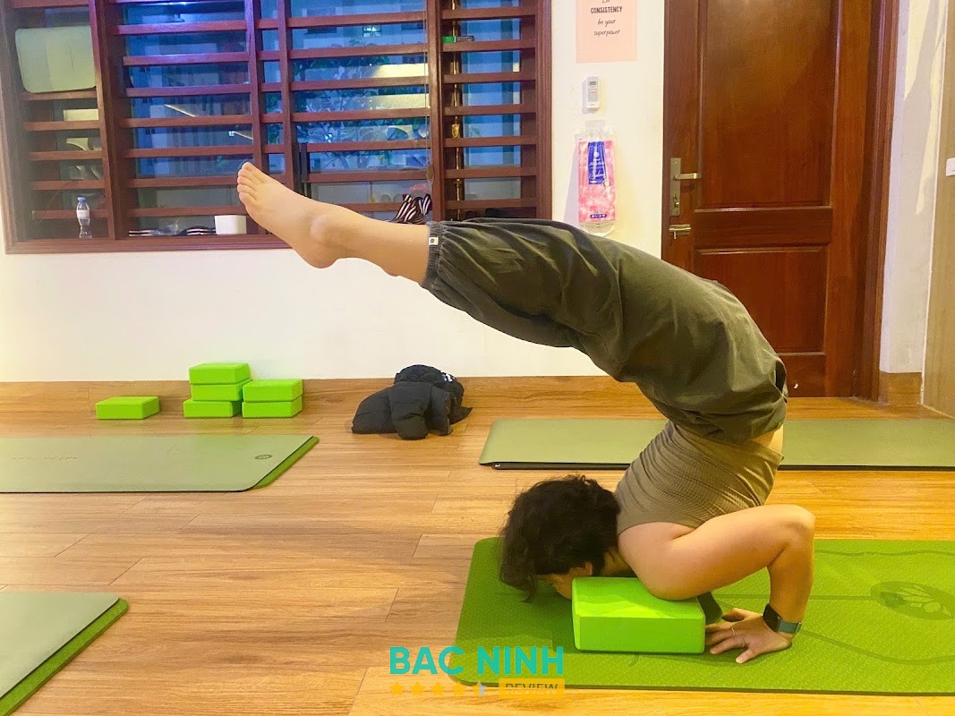 TAPAS YOGA – hình ảnh 3