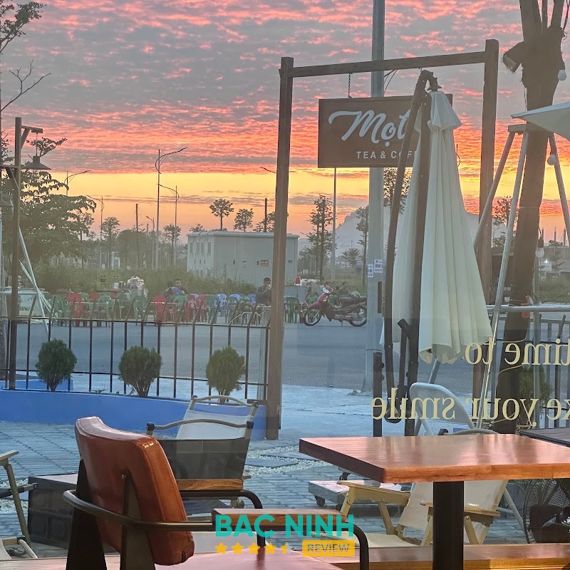 Mọt cà phê – hình ảnh 1