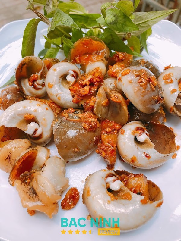 Ốc Ngân – hình ảnh 3